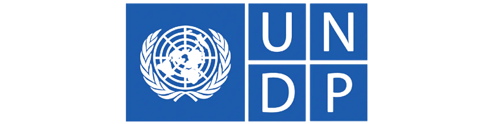 UNDP